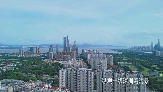 江南体育官网深圳深业世纪山谷官方售楼处(2024最新消息)房地产市场分析(图9)